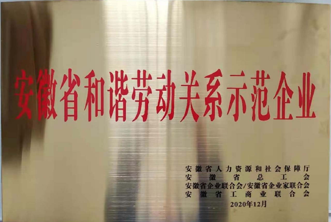 安徽省和谐劳动关系示范企业.jpg