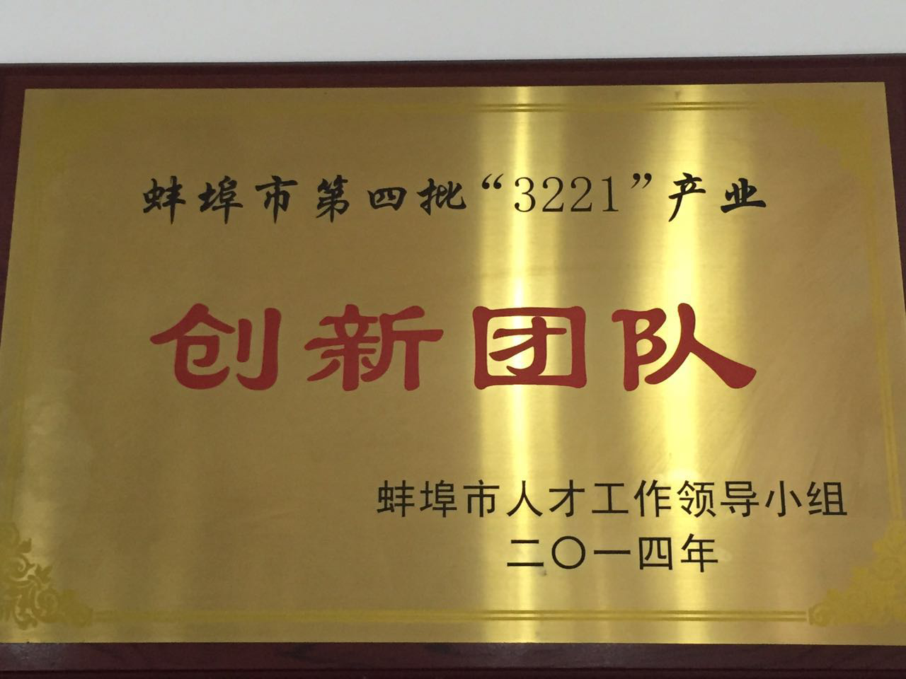 蚌埠市3221产业创新团队奖牌