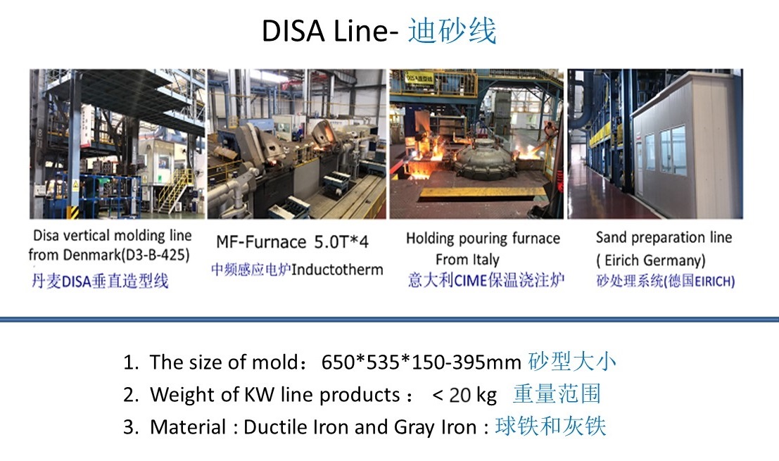 2 简介DS2.jpg