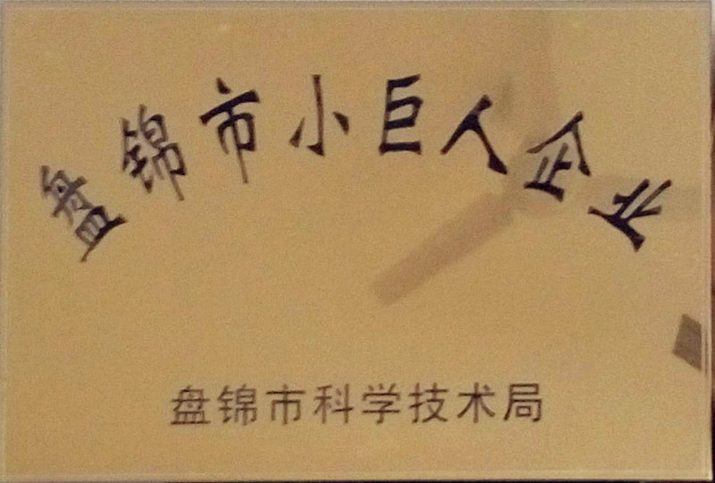 2016年度，获得“盘锦市小巨人企业”的荣誉称号.jpg