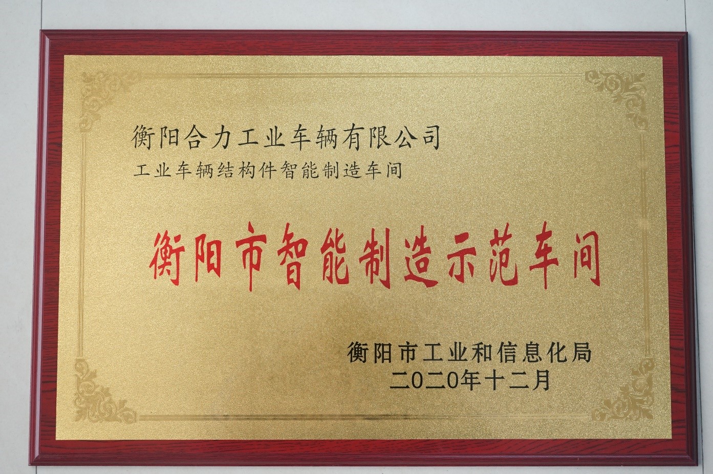 tyr6547456.jpg