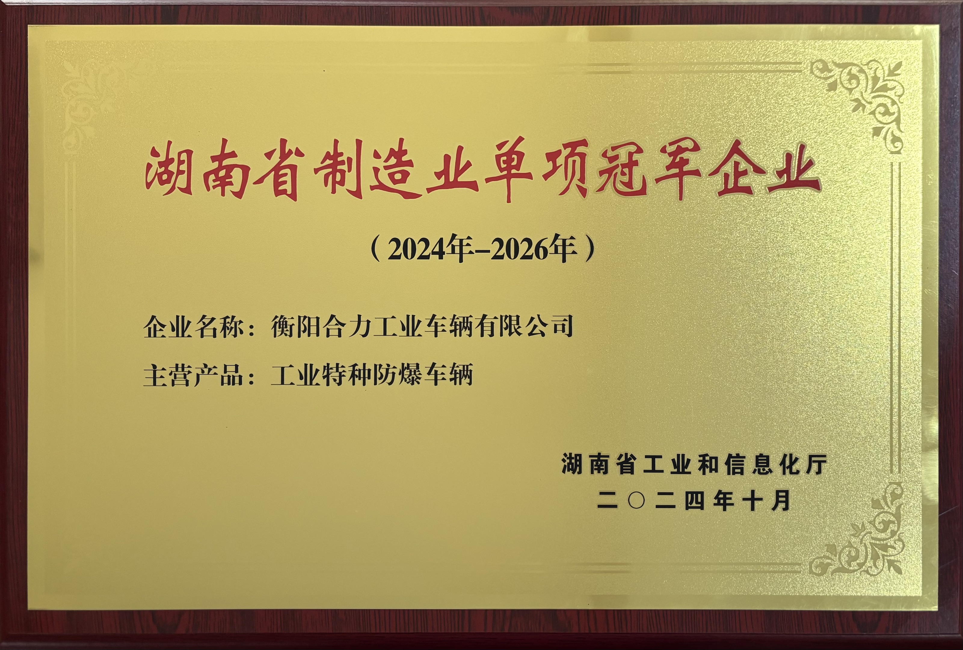 13.湖南省制造业单项冠军企业2024(1).jpg